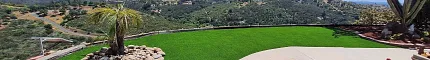 Scenic outdoor view with artificial grass and landscape