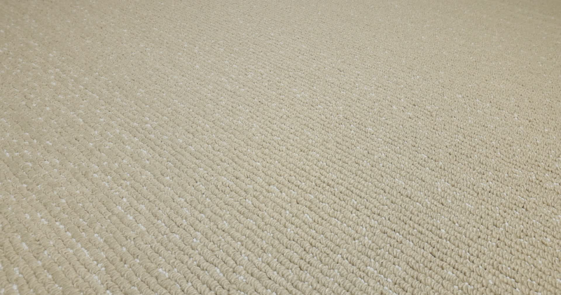 TRANQUIL WATERS SAHARA 360PROD