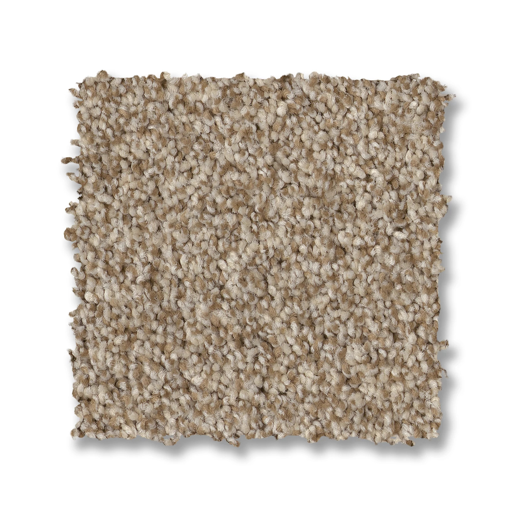 TERRA NOVA CANVAS SWATCH