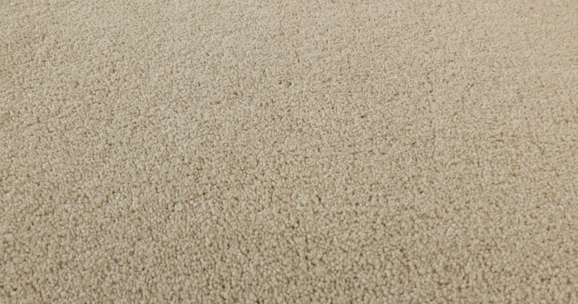 YOU KNOW IT SANDY SHORE 360PROD