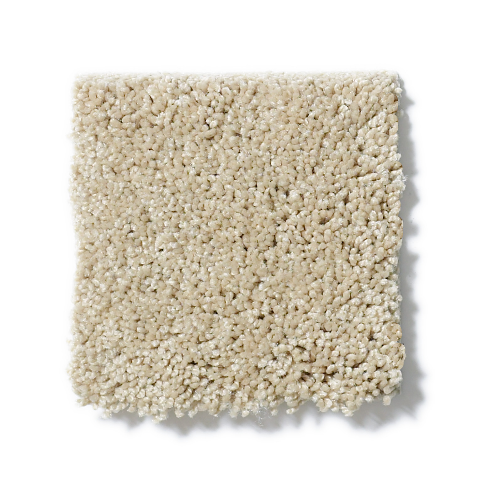 AG TIMELESS COOKIE DOUGH SWATCH