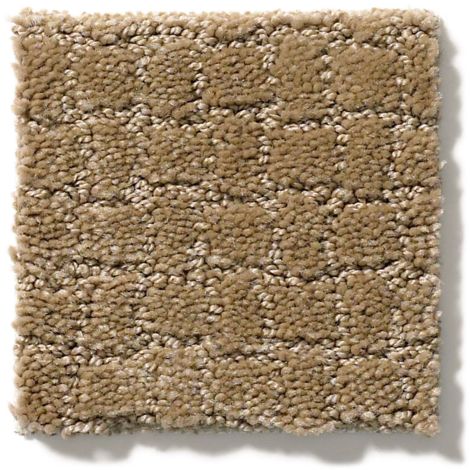 PAWSTRUCK PEANUT SHELL SWATCH