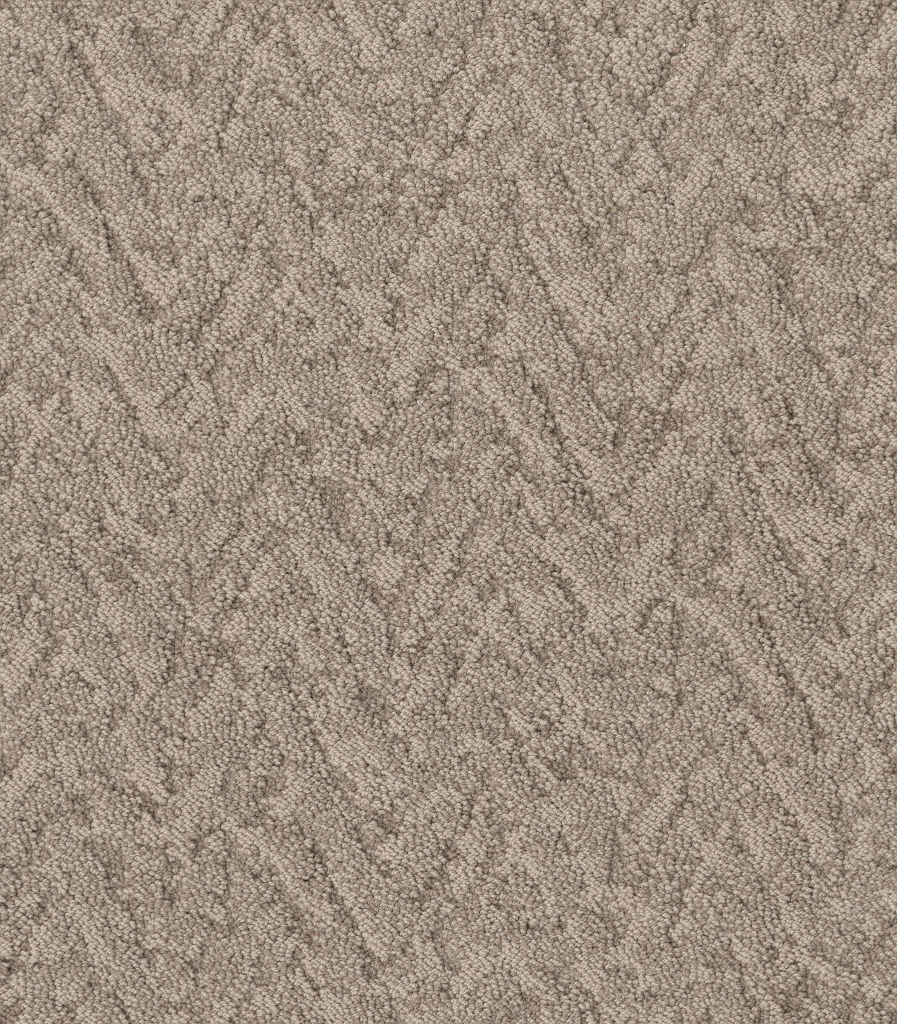 LAVISH LIVING TUMBLEWEED MAIN