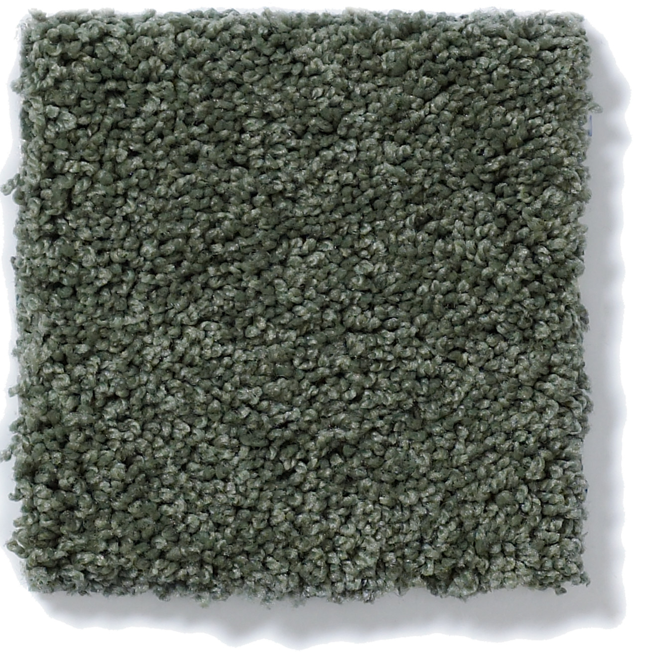 AG TIMELESS TREE TOP SWATCH