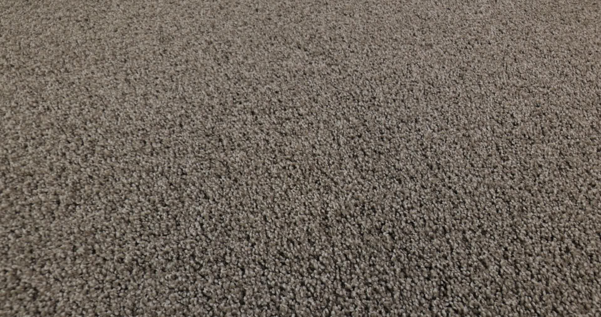 PARK HAVEN ELUSIVE 360PROD