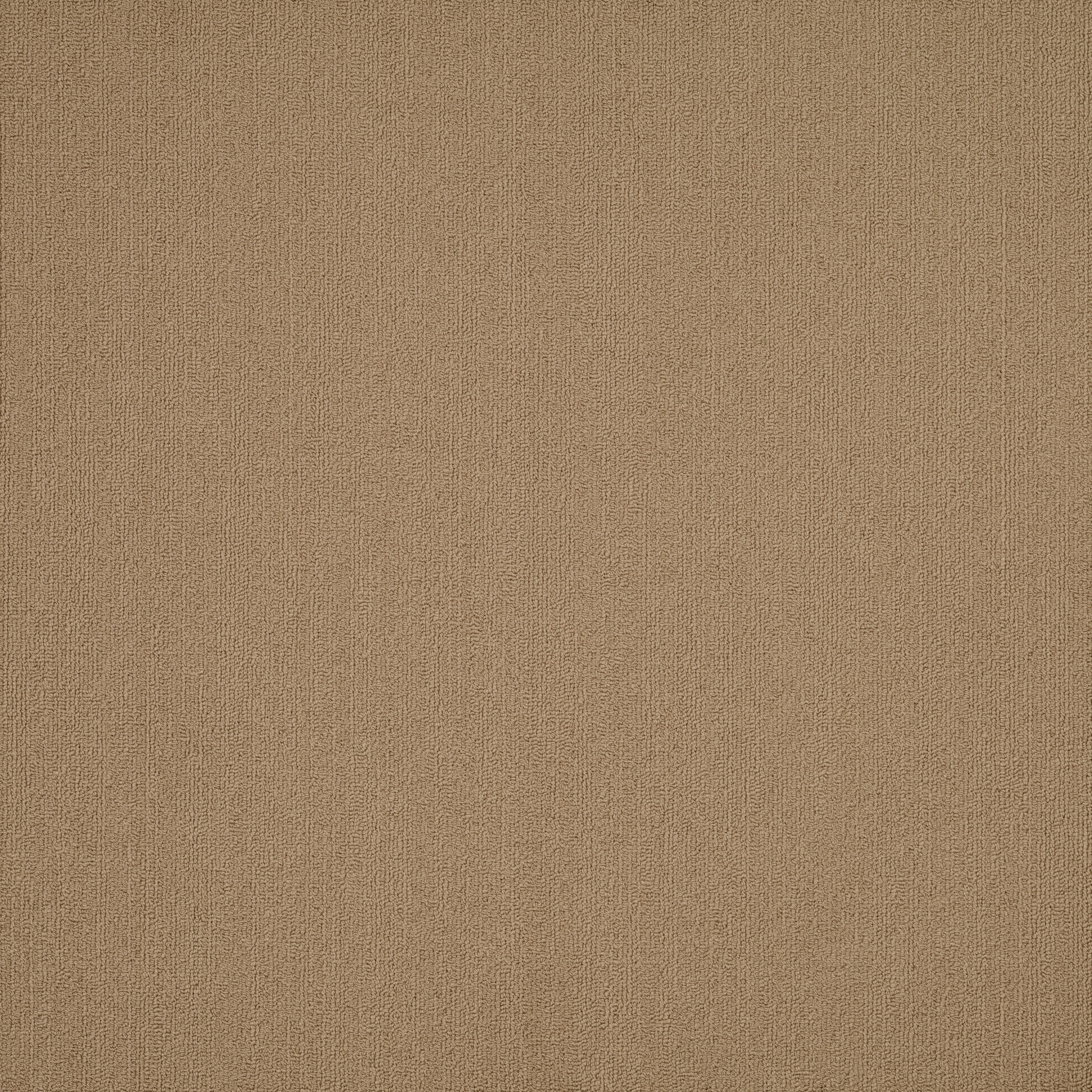 COLOR-ACCENTS-54462-GILDED-62103-main-image