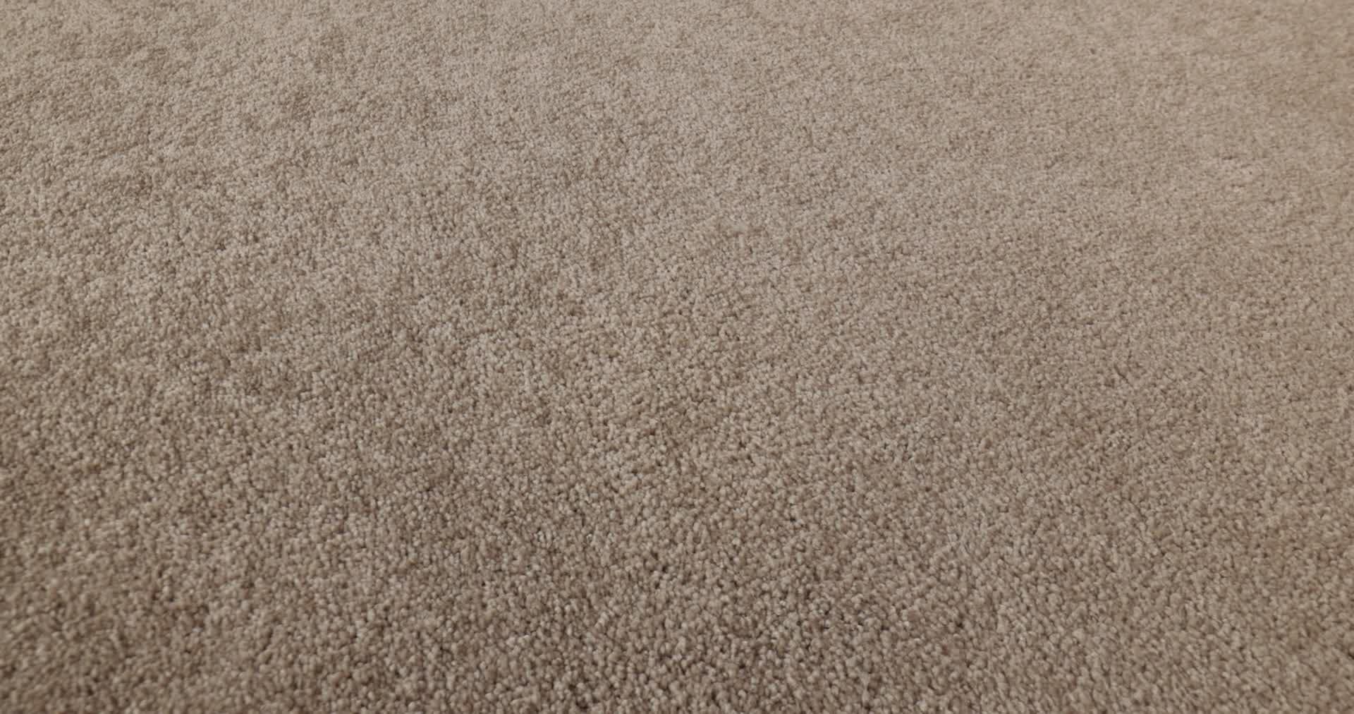 BASIC RULES TOAST 360PROD