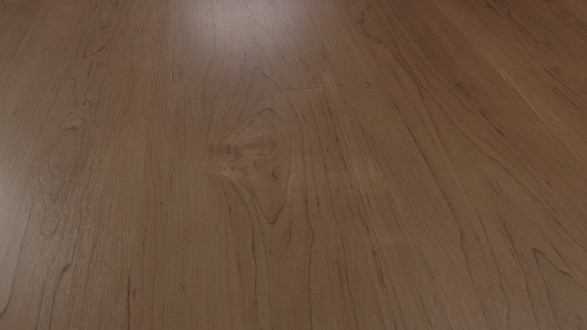 Grain Direct Glue Nutshell Rotation360