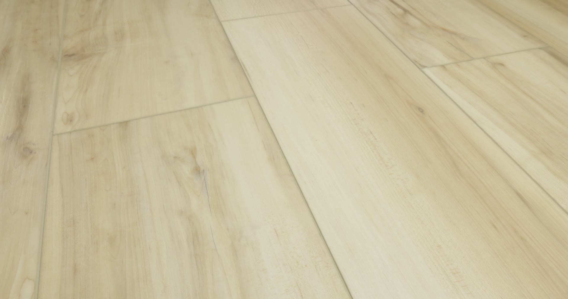 FRESH TAKE BUTTERFLY WHITE 360PROD