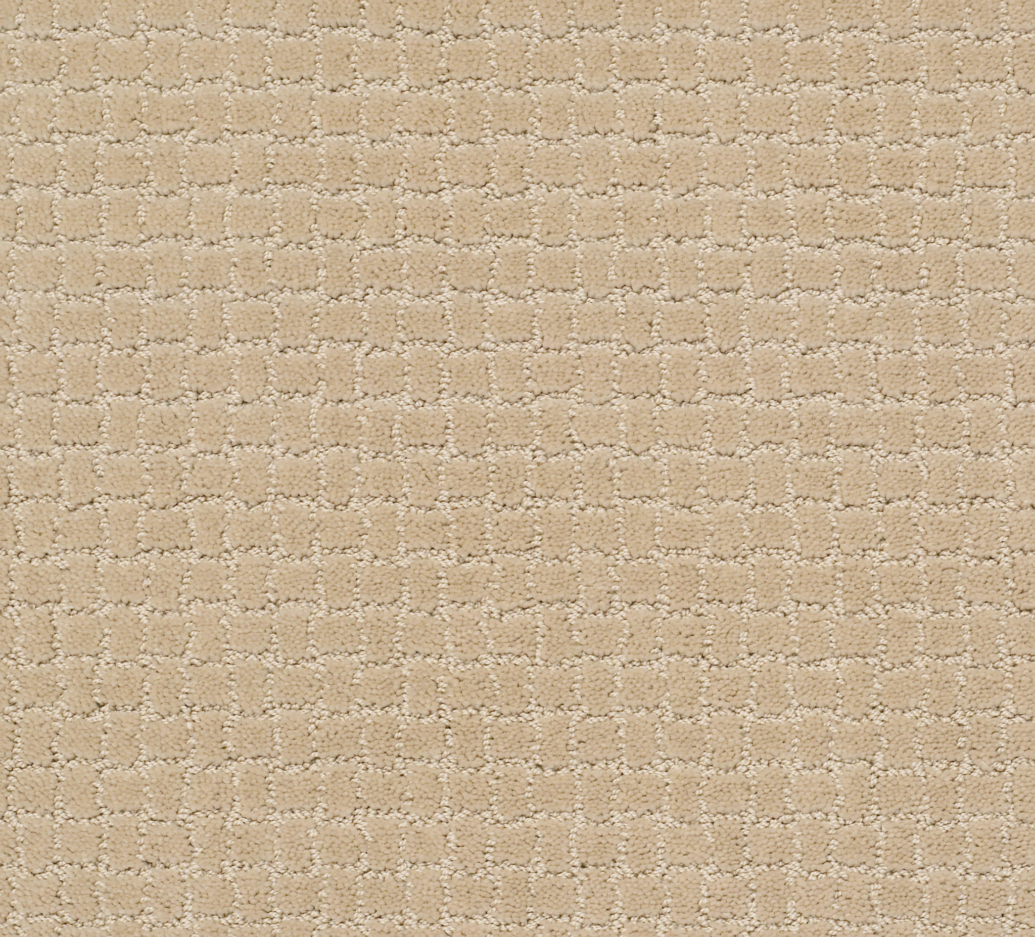 PAWSTRUCK HAZELNUT MAIN