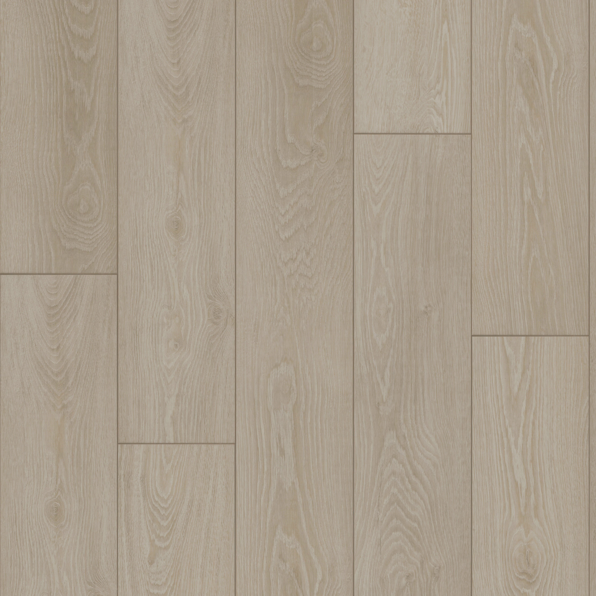 AMBITION FEATHER GREY MAIN