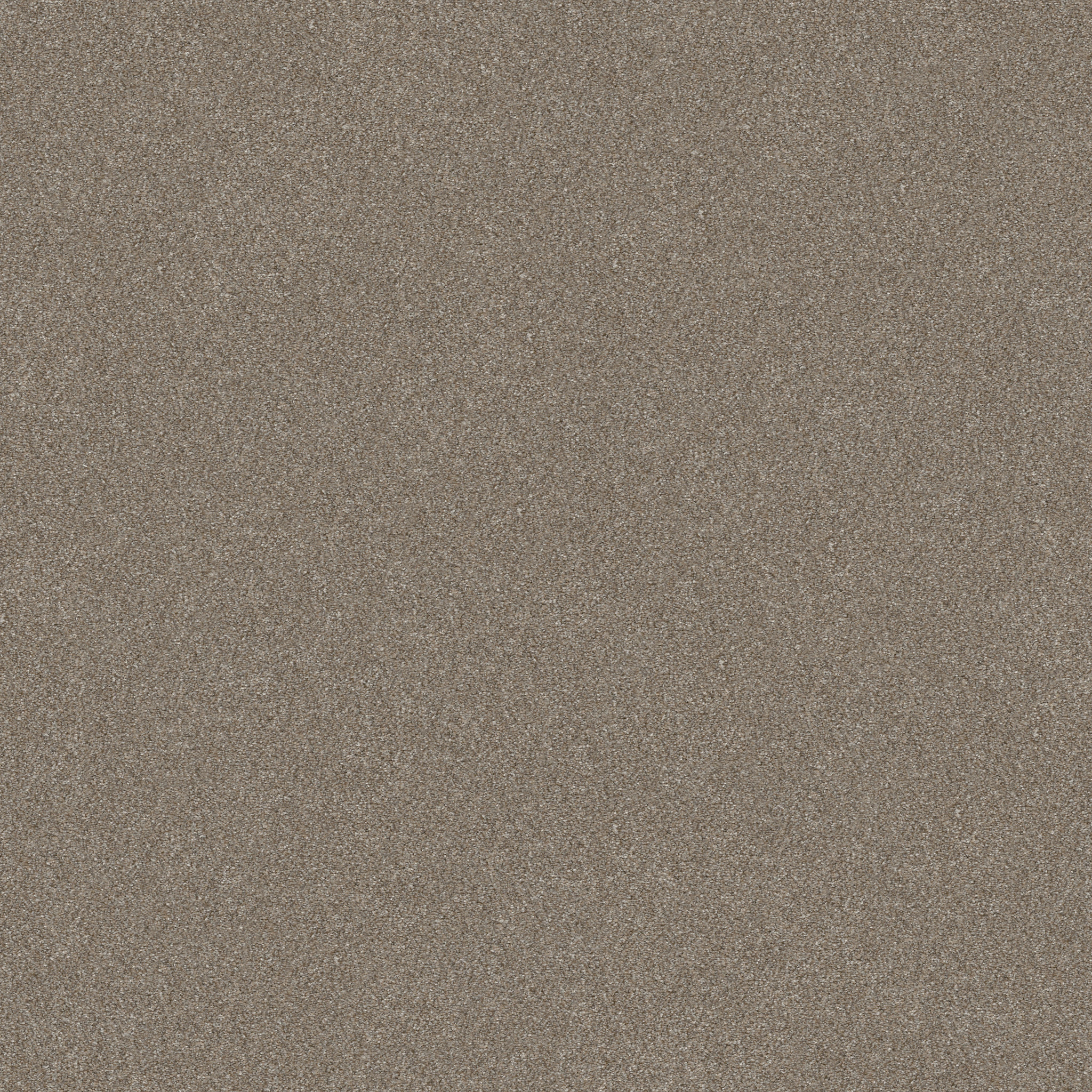 WITHOUT LIMITS II MACADAMIA MAIN