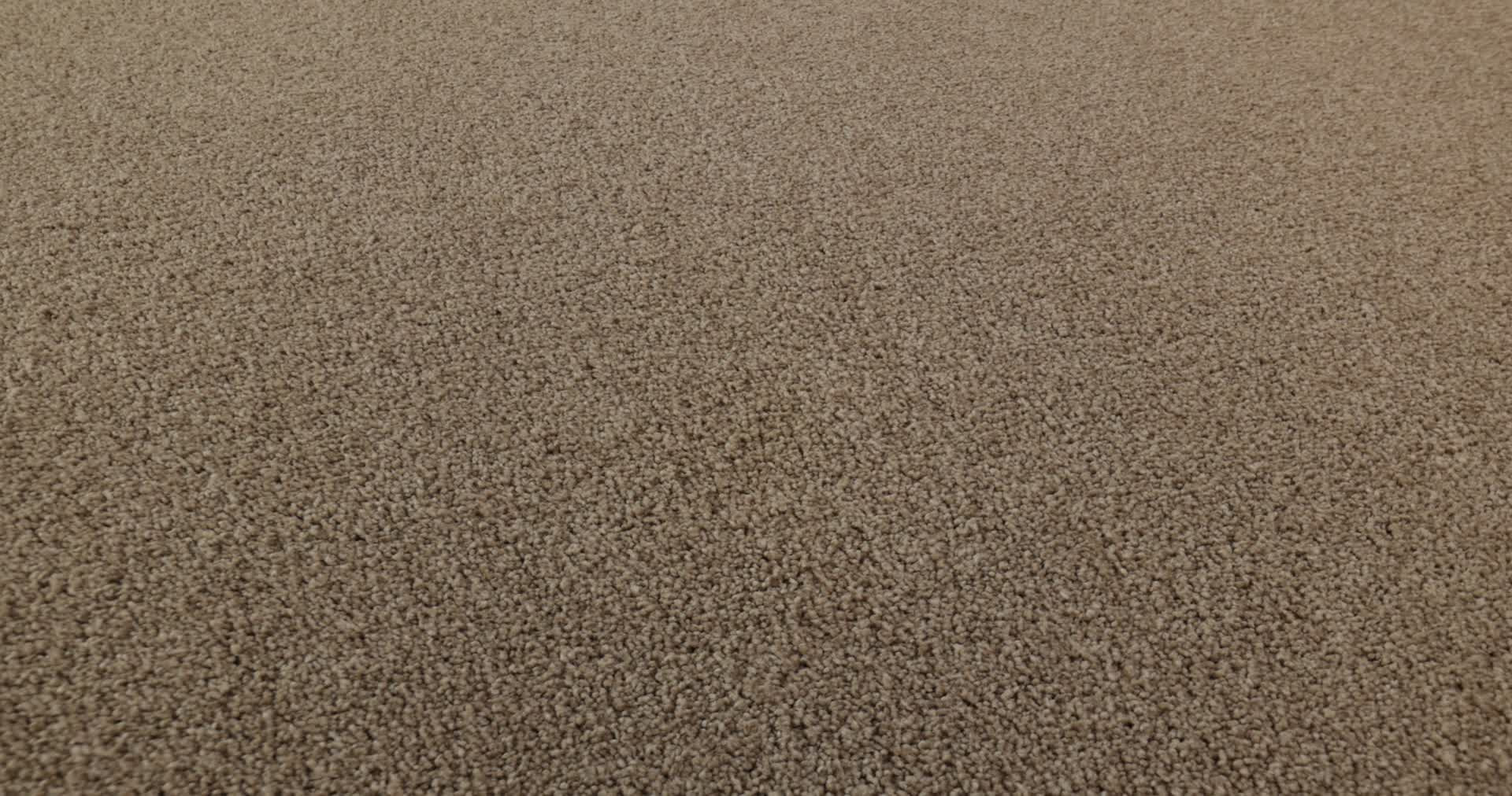 Find your comfort I - Solid CAMPING TRIP (S 360PROD