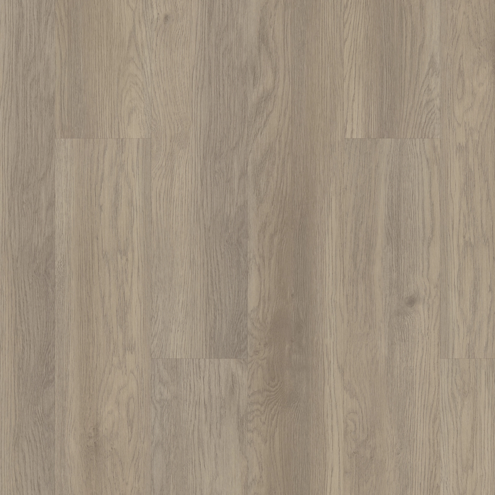 INDWELL-SPC-SS-5663V-WILLOW-OAK-02028-main-image
