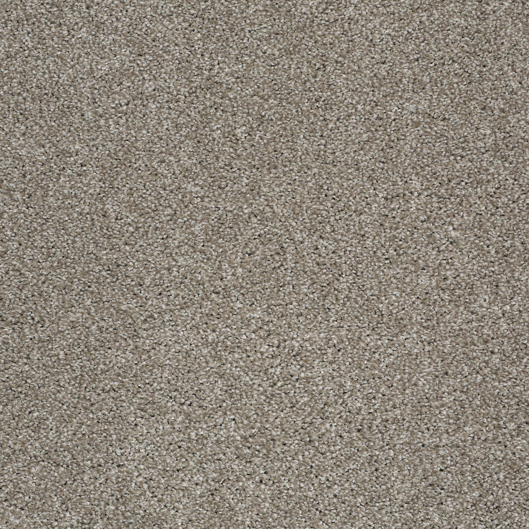 ALWAYS READY II ARROWHEAD MAIN