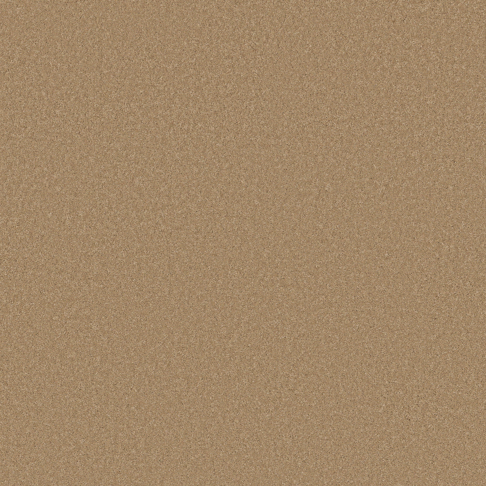 ENDURING CHARM WINTER WHEAT MAIN