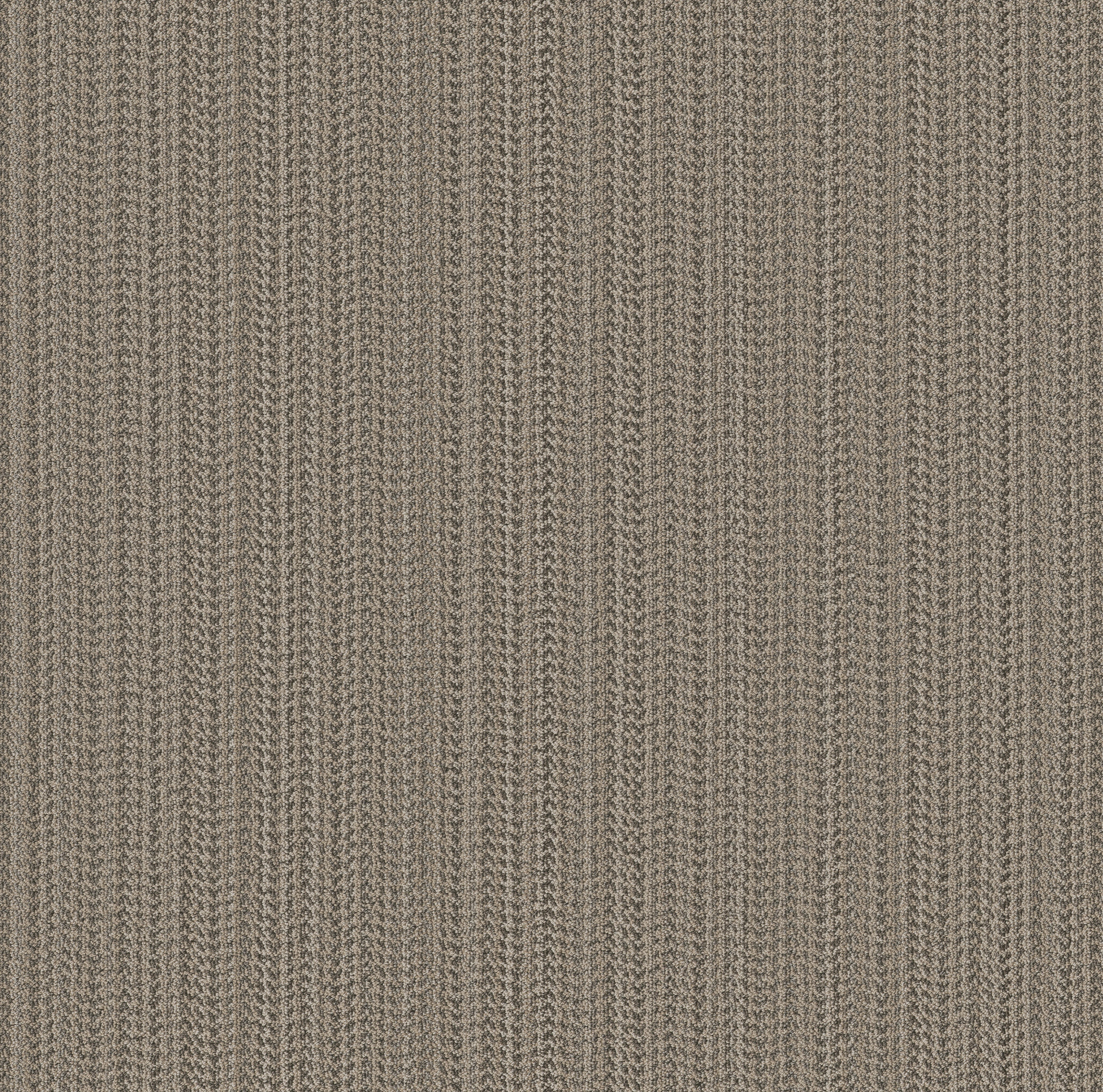 MARQUET MUSHROOM BISQUE MAIN