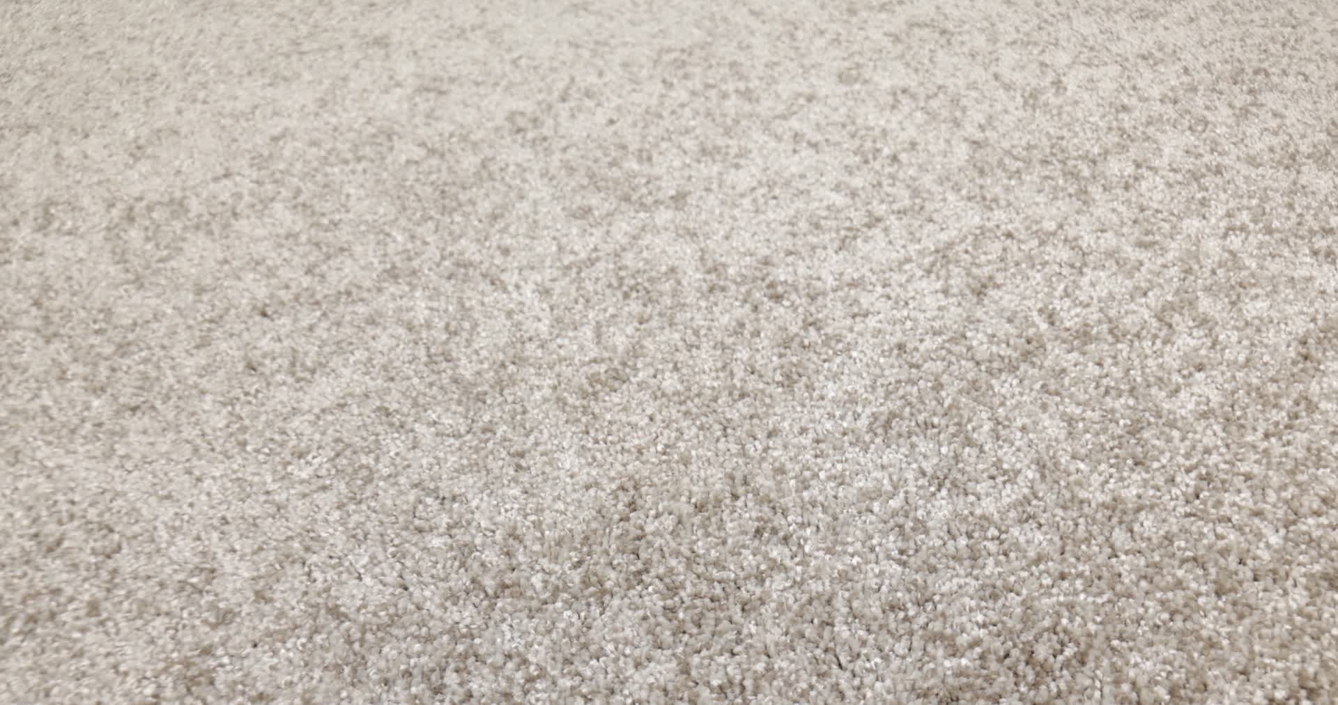 YOU GOT THIS III CAMEO 360PROD