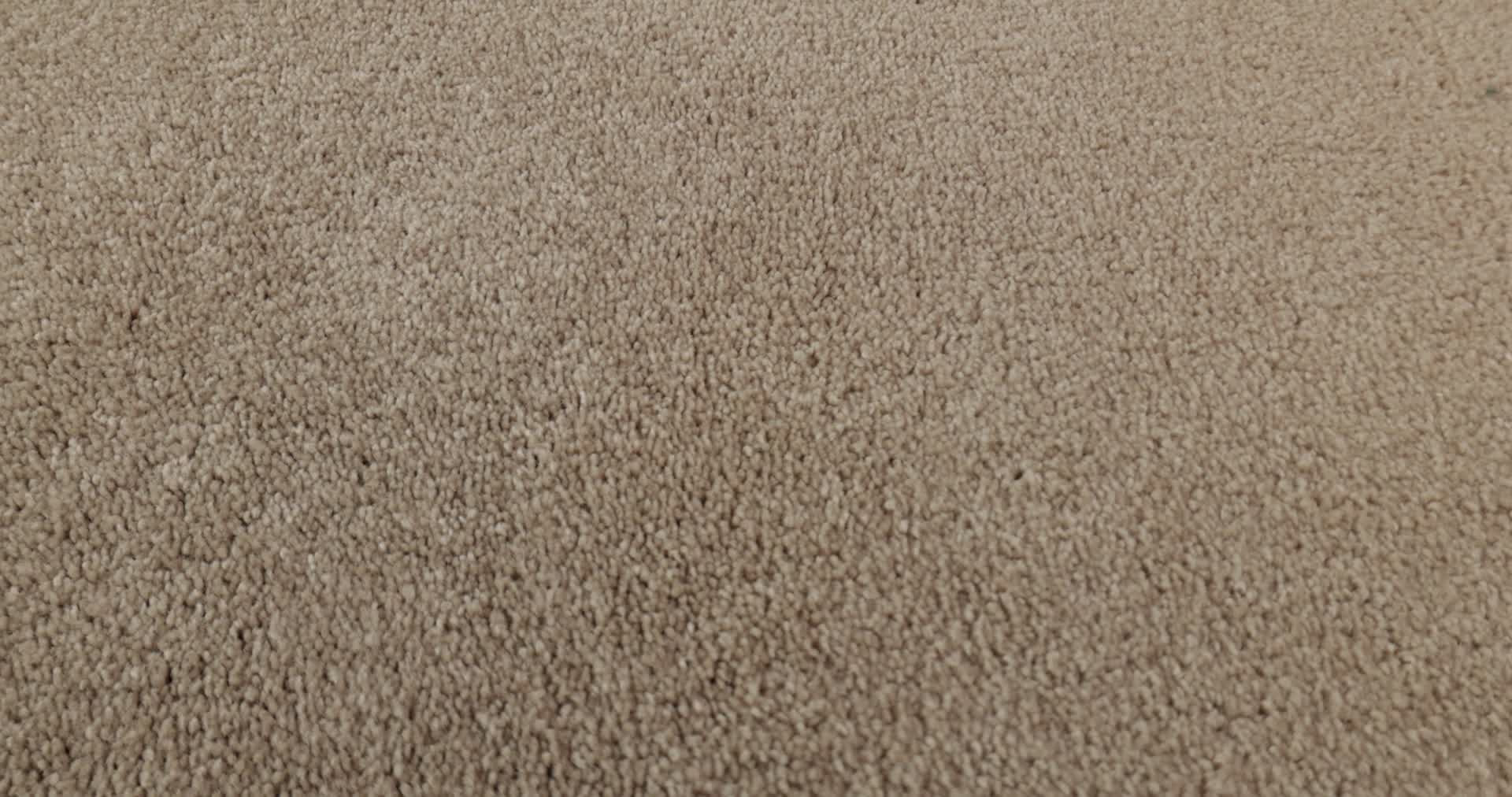 CHALLENGE ACCEPTED I 12' SANDY NOOK 360PROD