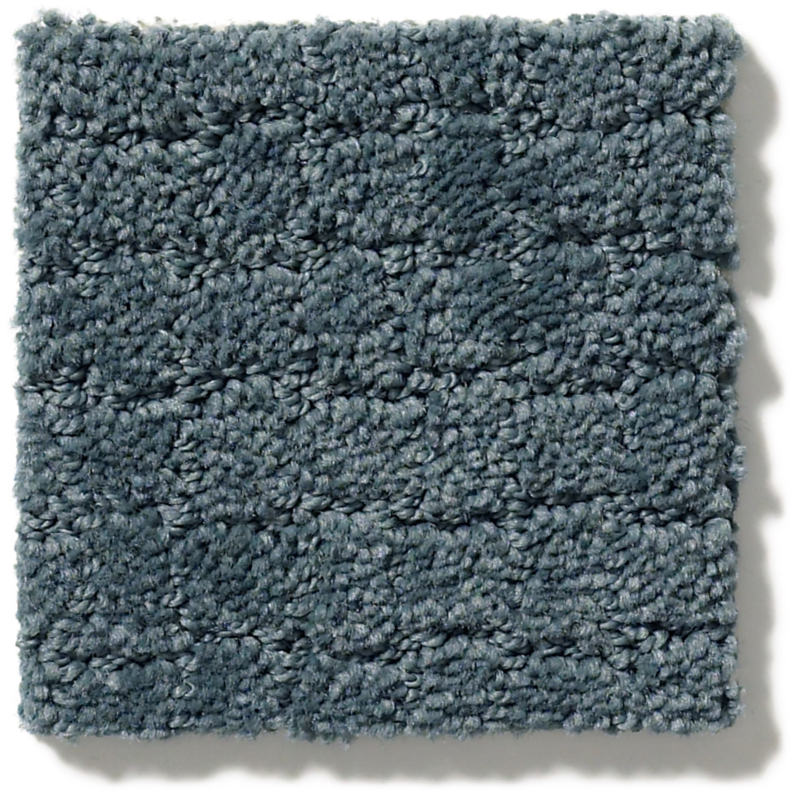 PAWSTRUCK NIMBUS SWATCH