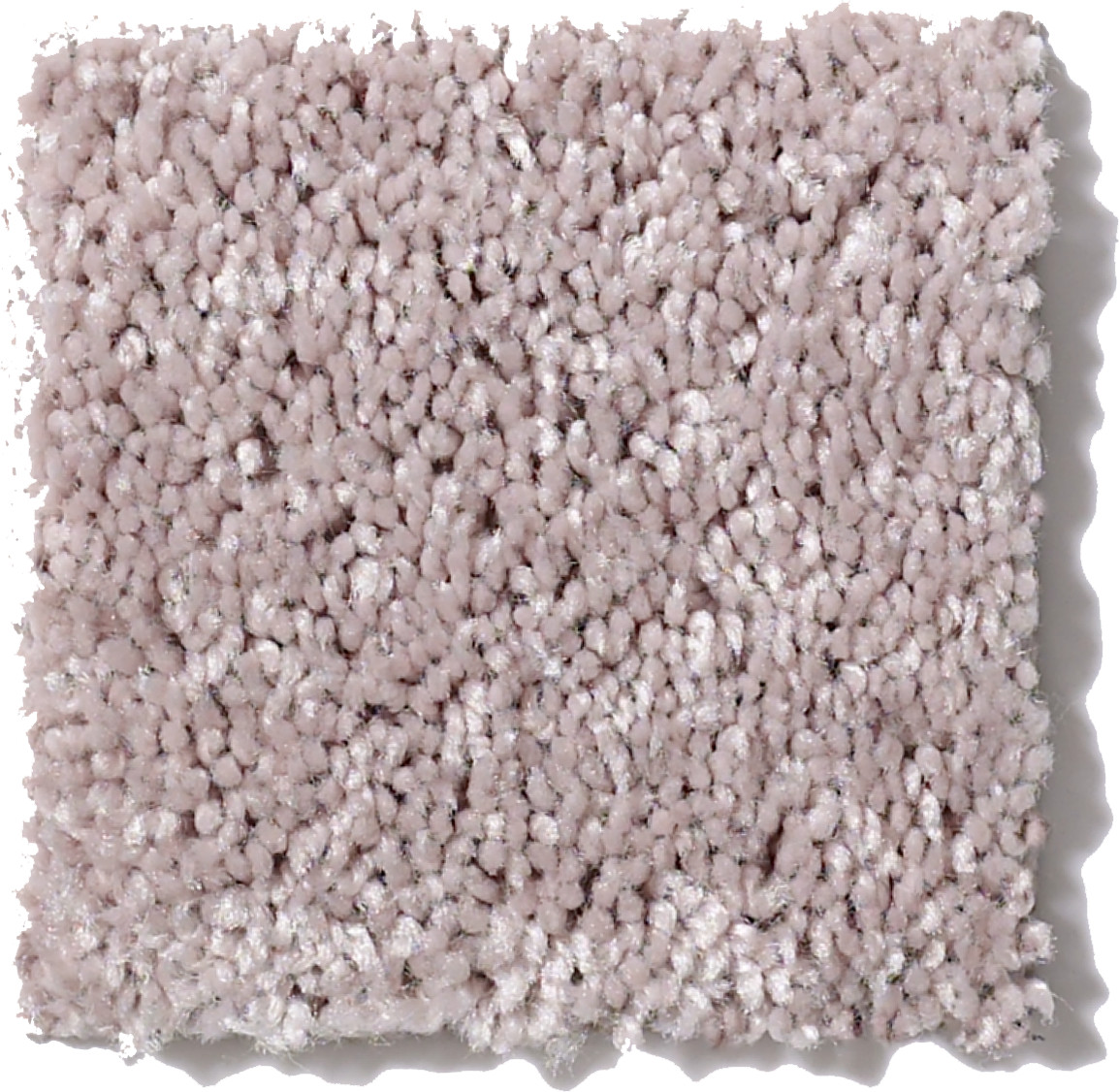 ROYAL PORTRUSH III 15' BARE MINERAL SWATCH