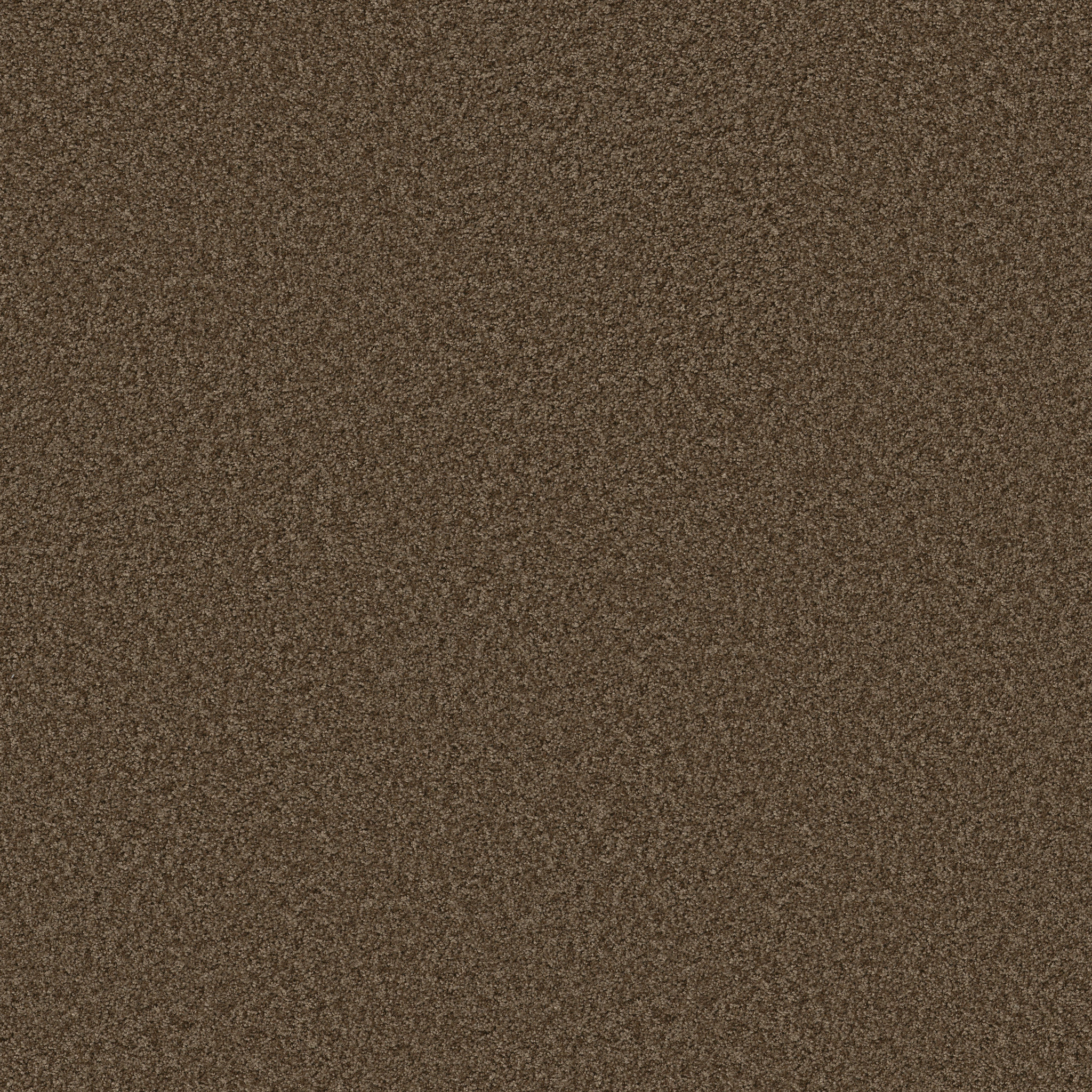 DYNAMIC WORLD 12 (S) CREEK BANK MAIN