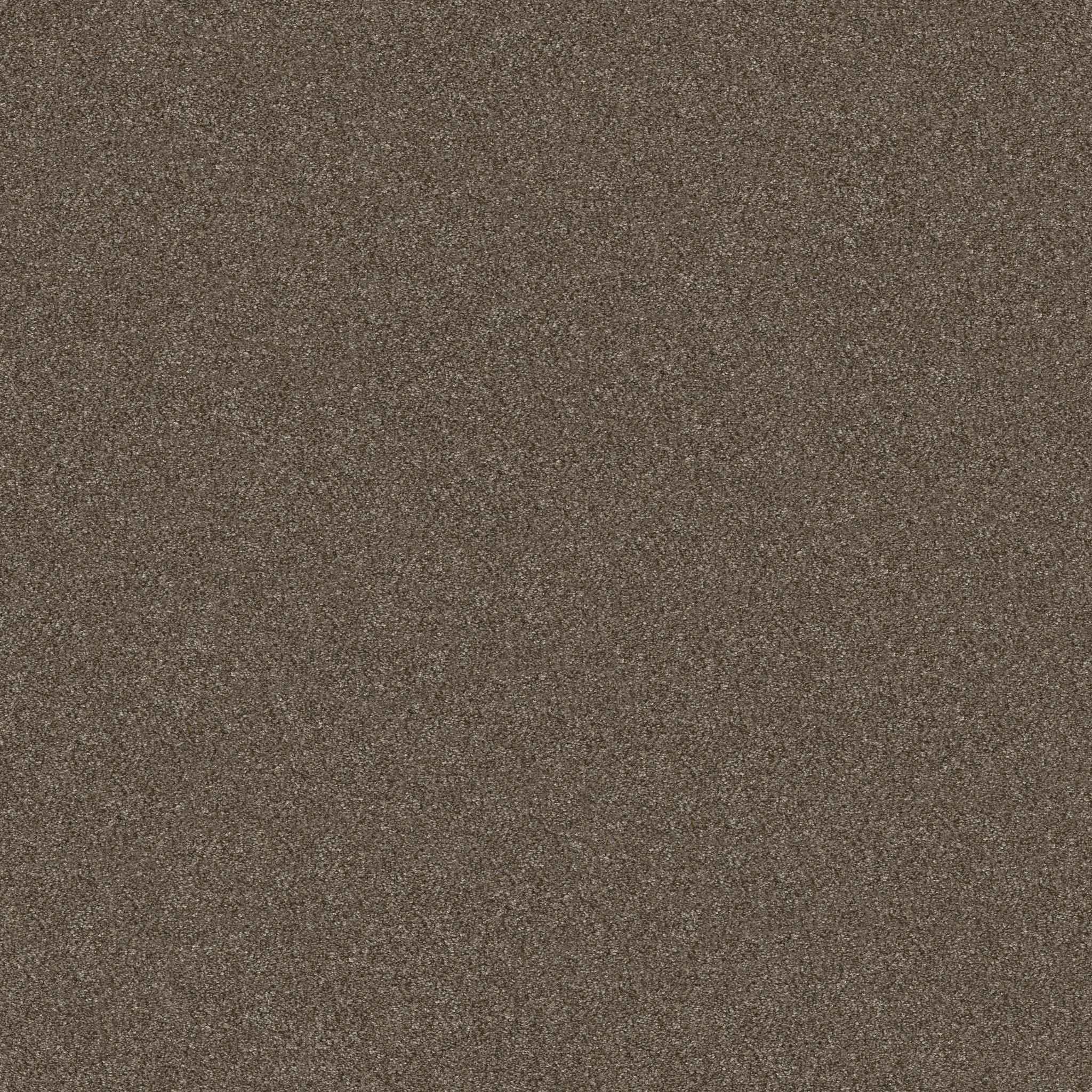 WITHOUT LIMITS II BOUNTIFUL MAIN