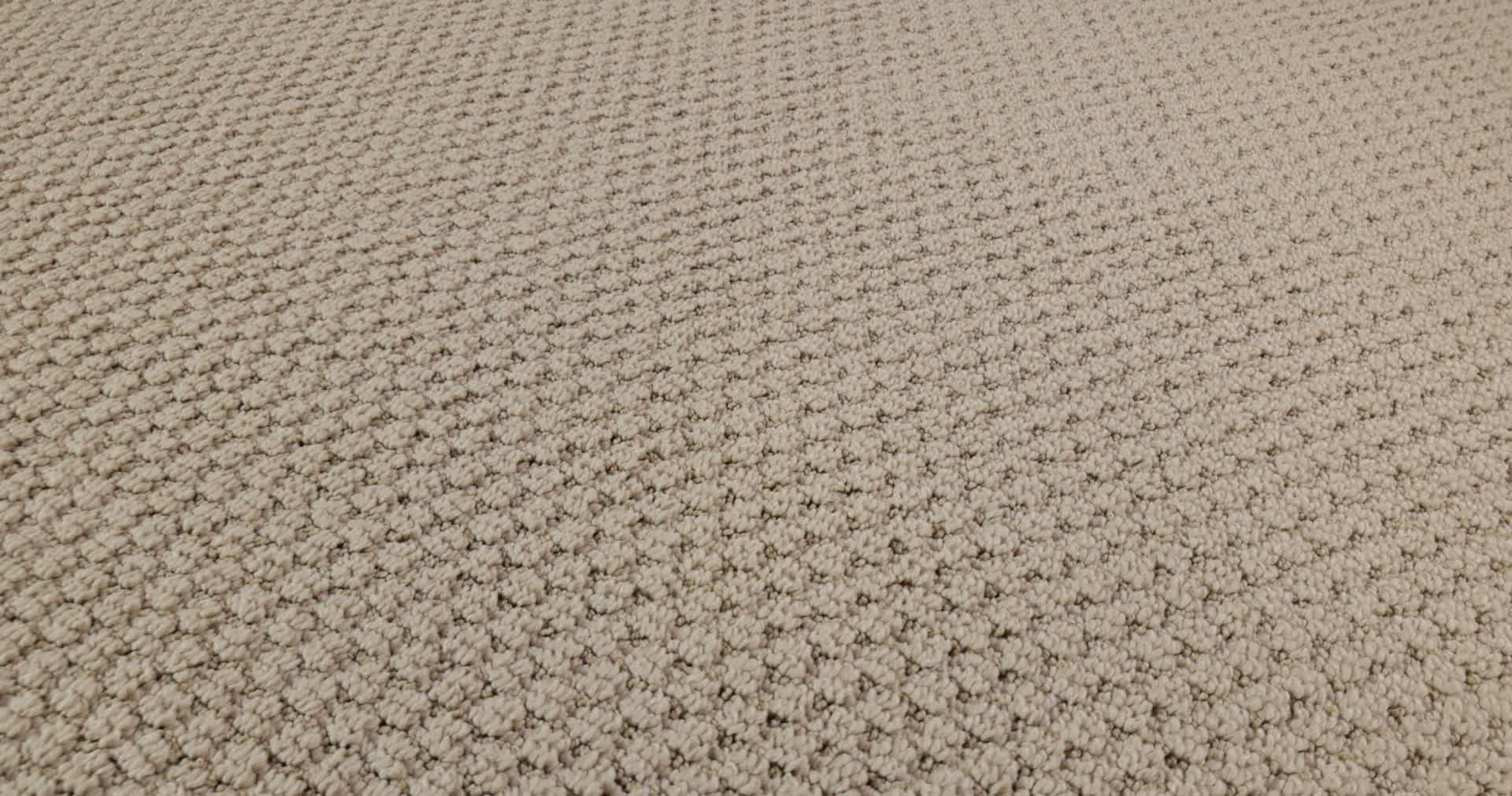 CATHEDRAL HILL II BRUSHED IVORY 360PROD