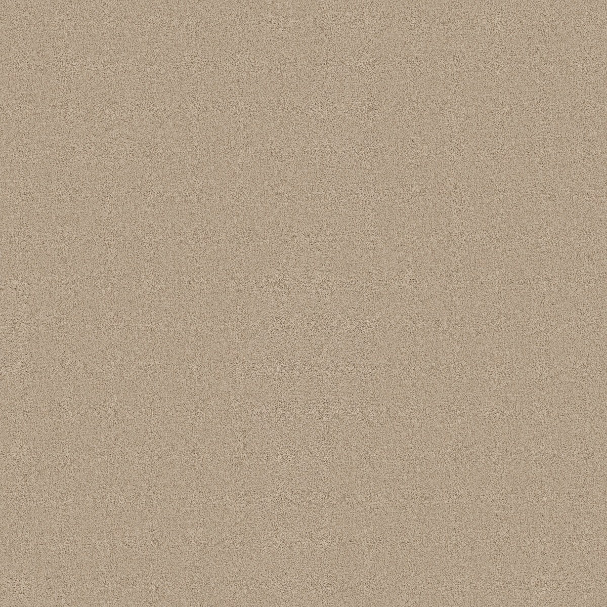 Shaw Floors LAS CRUCES — ALL NATURAL