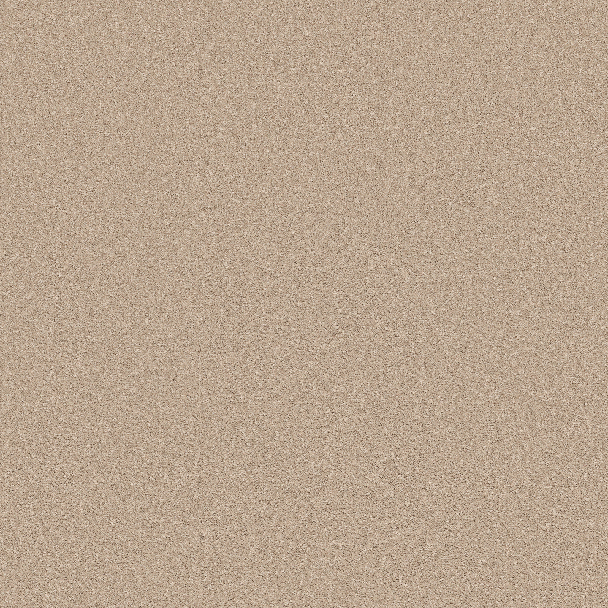 SIDE-TRACK-54837-ALL-NATURAL-00112-main-image