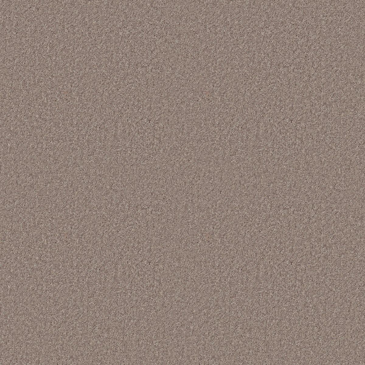 Shaw Floors DYERSBURG CLASSIC 15' — ANTIQUE SILK
