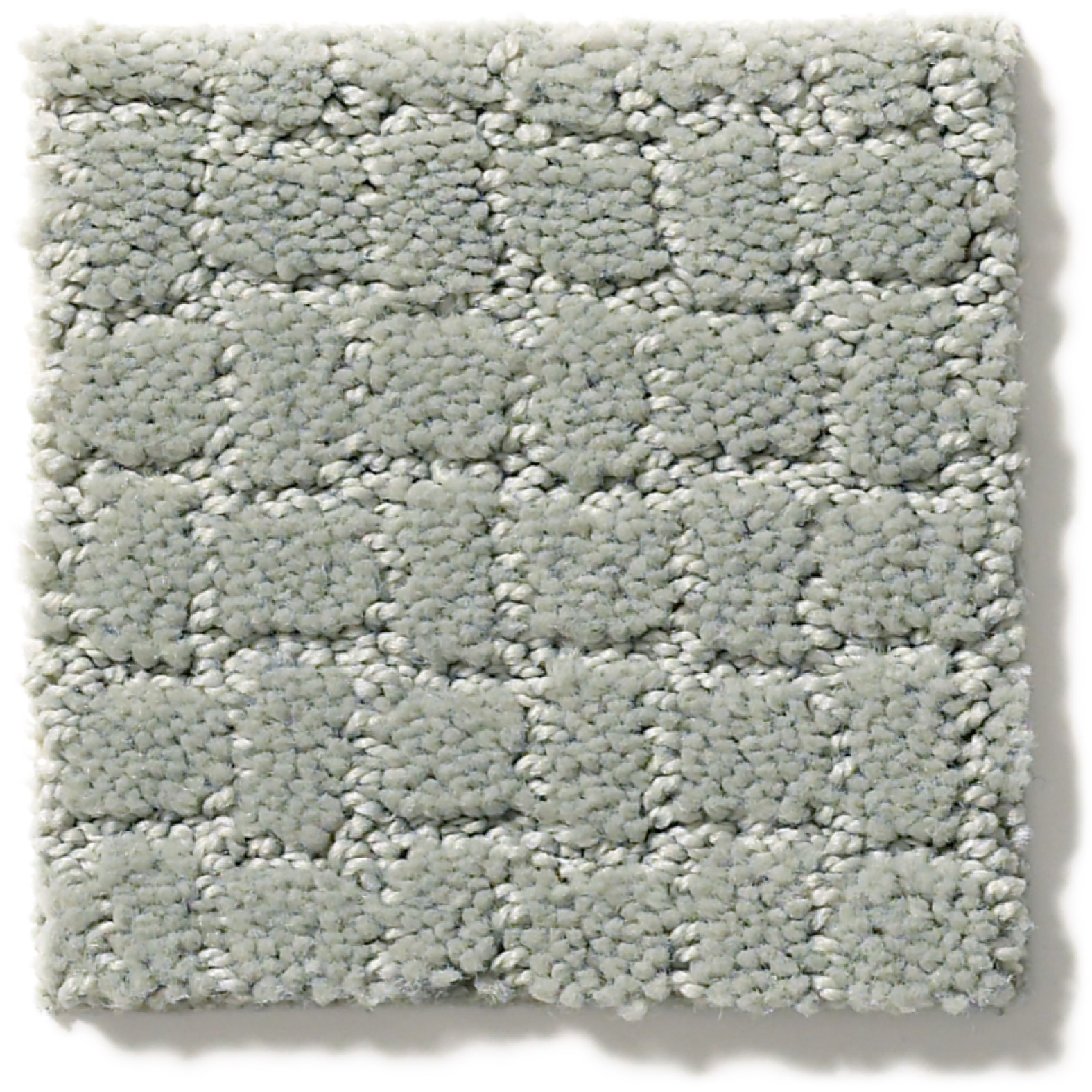 PAWSTRUCK MISTY LAKE SWATCH