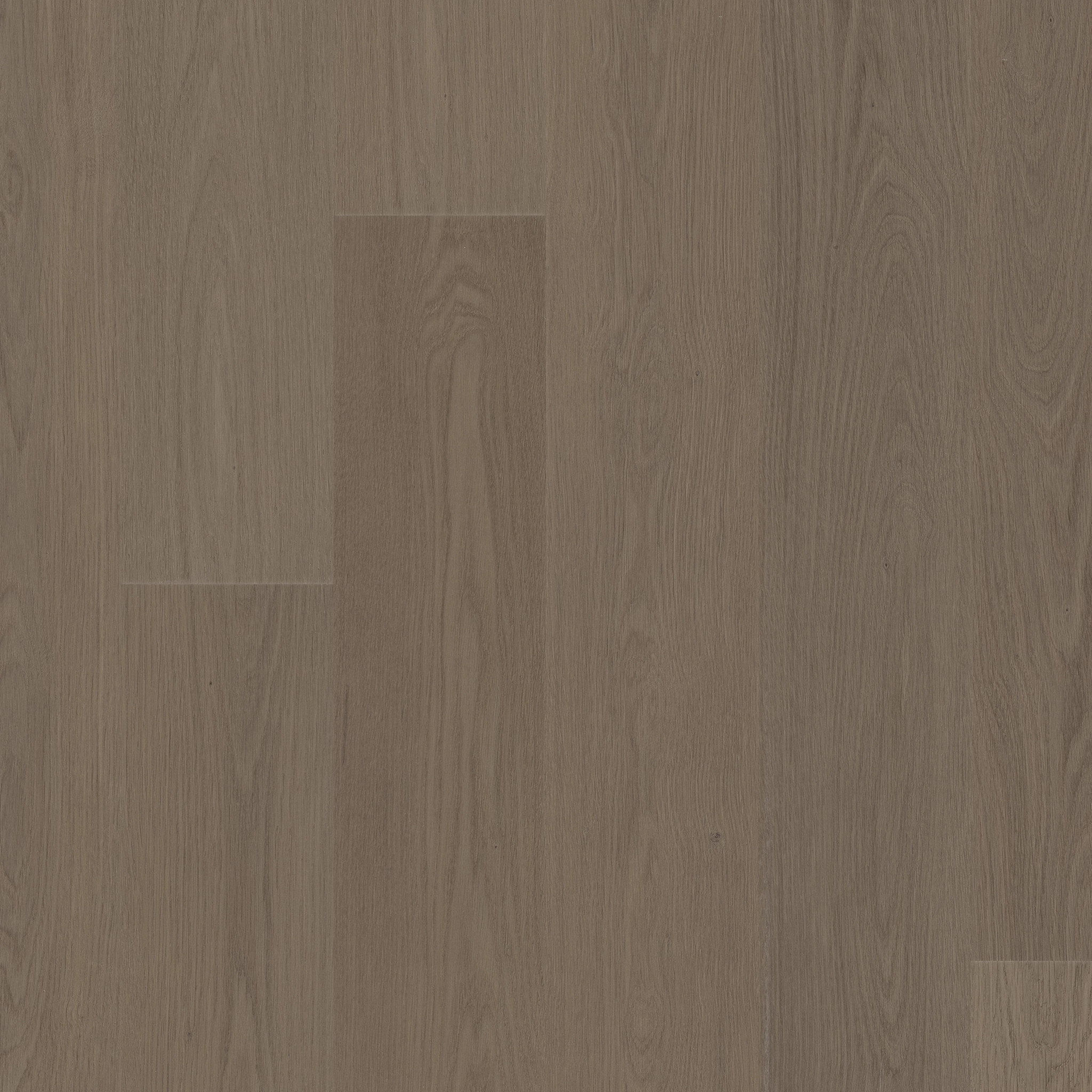 PROVENANCE MEDITATIVE OAK MAIN