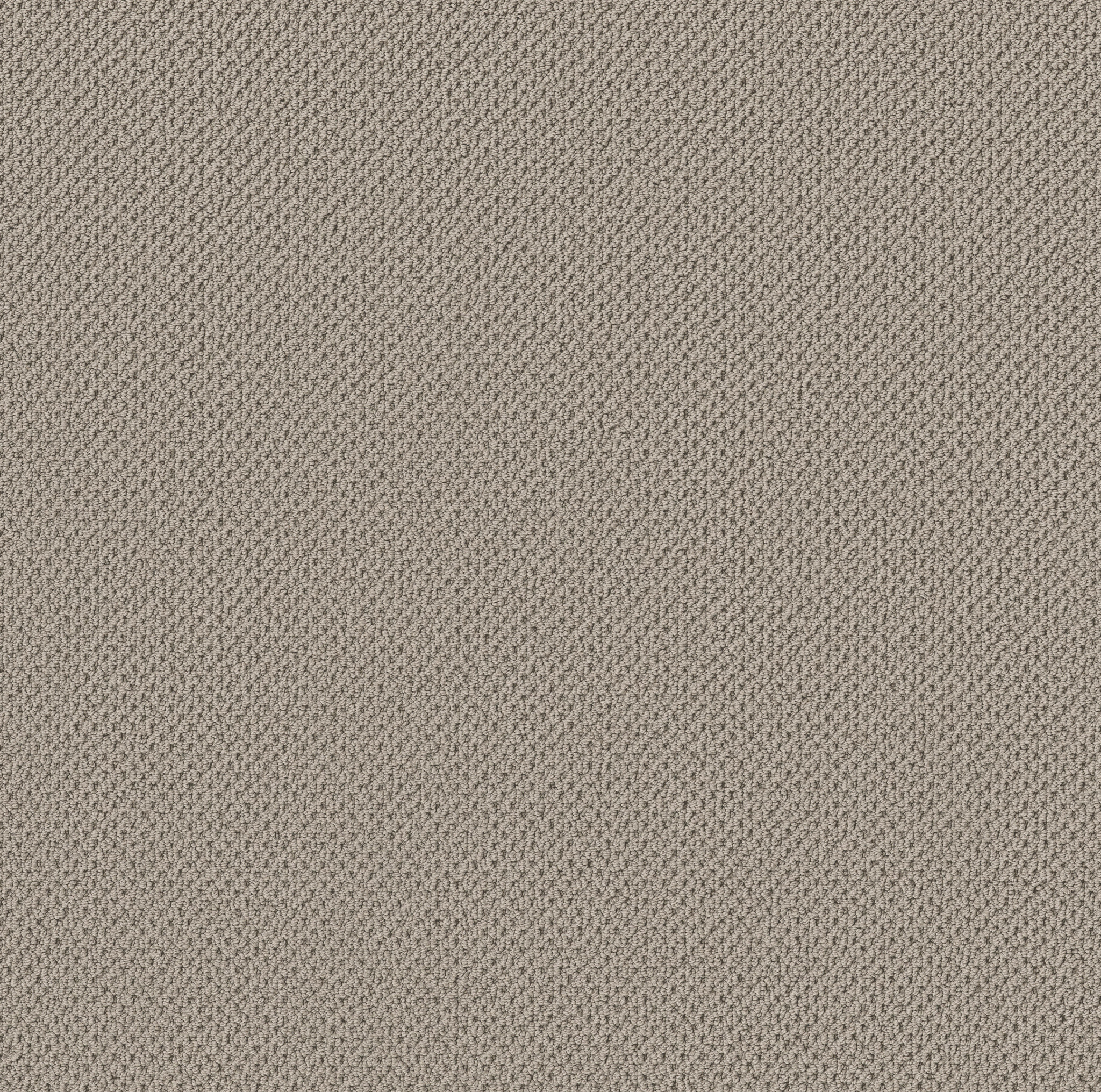 GRACIOUS LADY IN GRAY MAIN