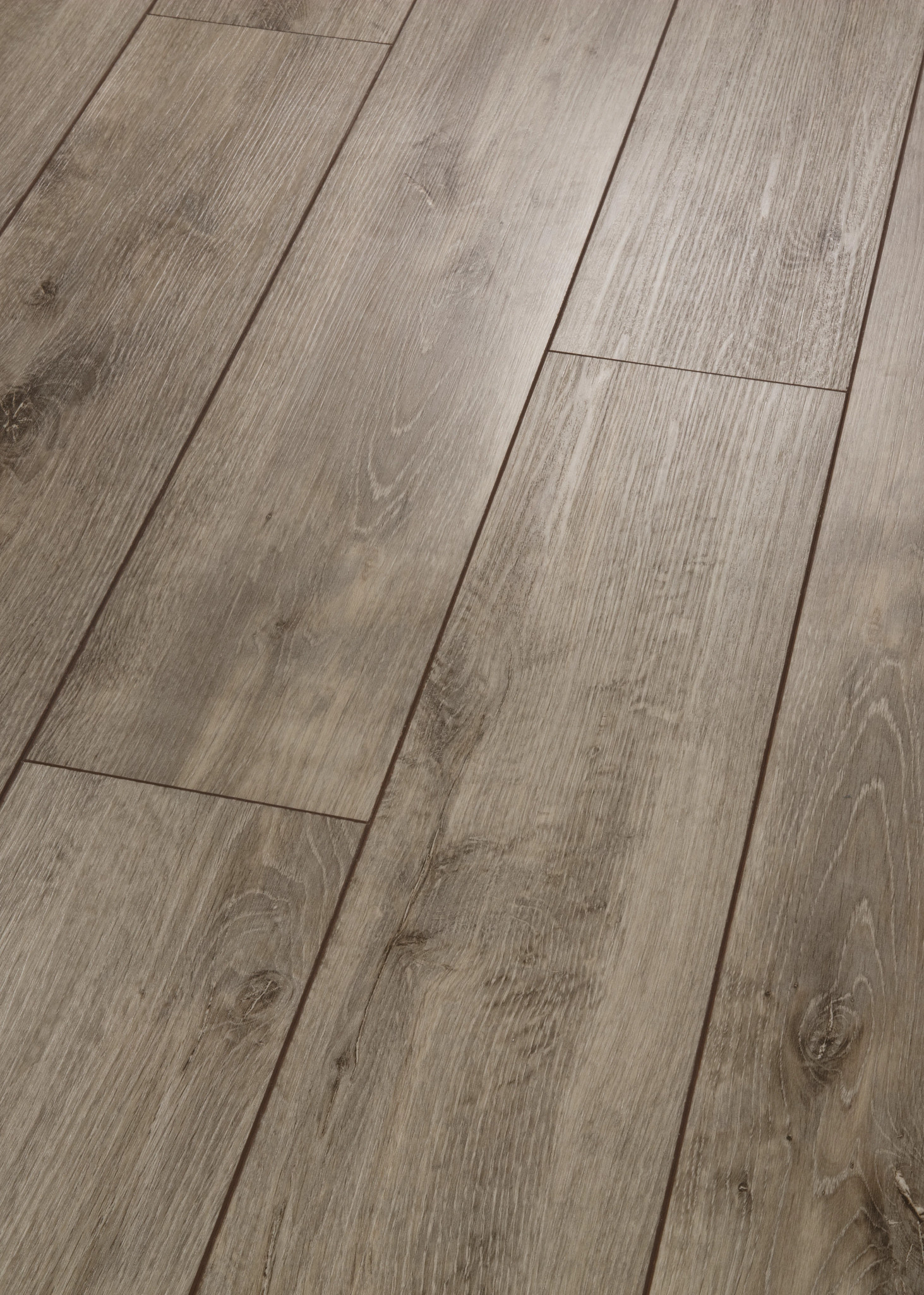 ALLEGIANCE + ACC AMBASSADOR ANGLED