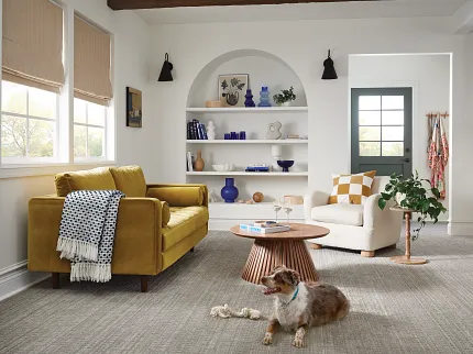 Comfortable and Durable Carpet Flooring for Everyday Home Comfort Cozy living room with durable carpet flooring, featuring a mustard yellow sofa, a white armchair, and a playful dog