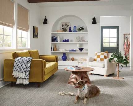 Comfortable and Durable Carpet Flooring for Everyday Home Comfort Cozy living room with durable carpet flooring, featuring a mustard yellow sofa, a white armchair, and a playful dog