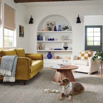 Comfortable and Durable Carpet Flooring for Everyday Home Comfort Cozy living room with durable carpet flooring, featuring a mustard yellow sofa, a white armchair, and a playful dog
