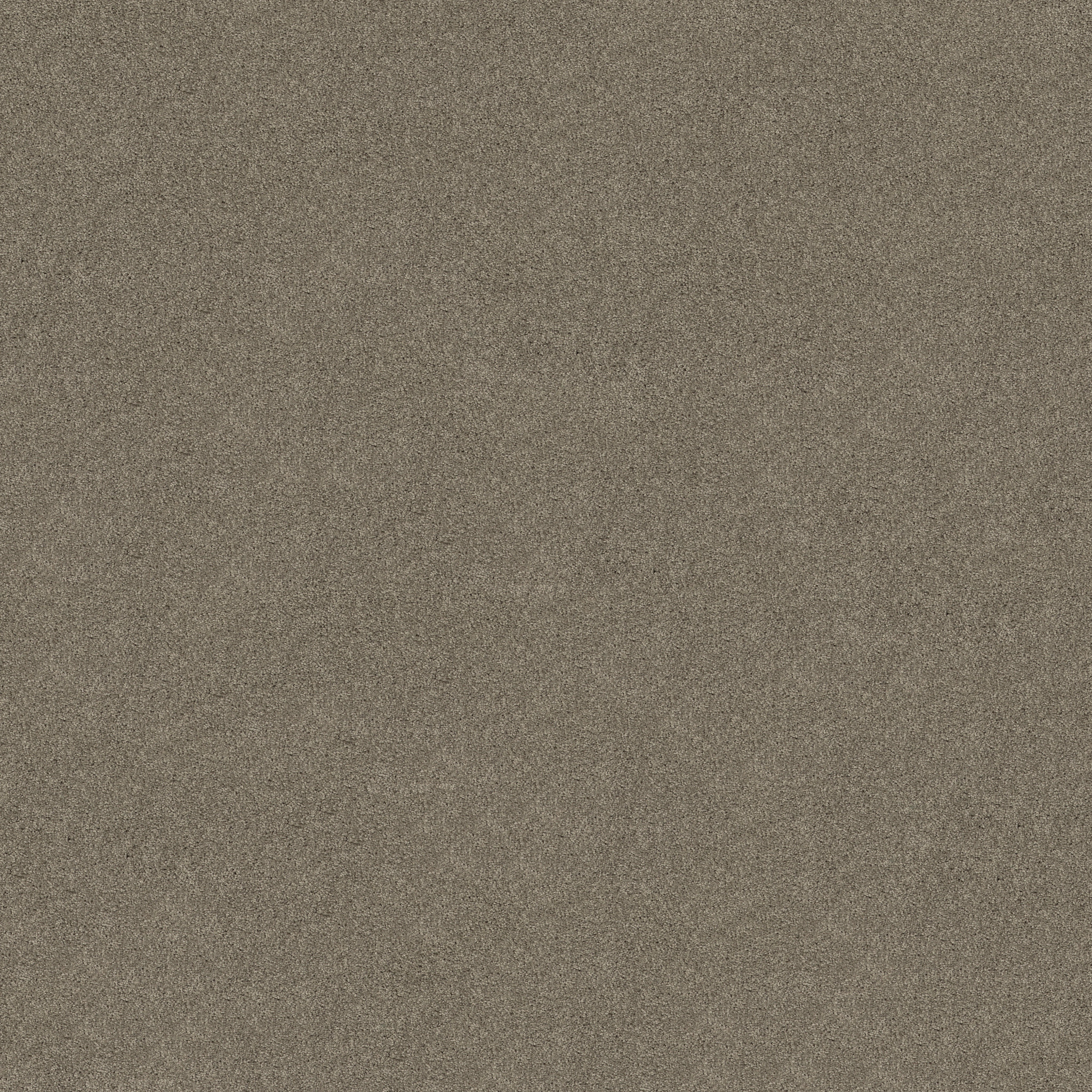 KEEN SENSES II MOCHA MAIN