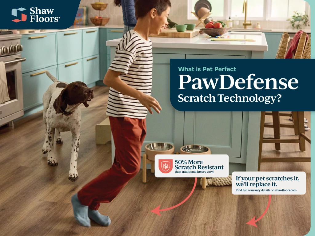 BRIARD FEATHERED OAK Briard 3128v Paw Defense Video