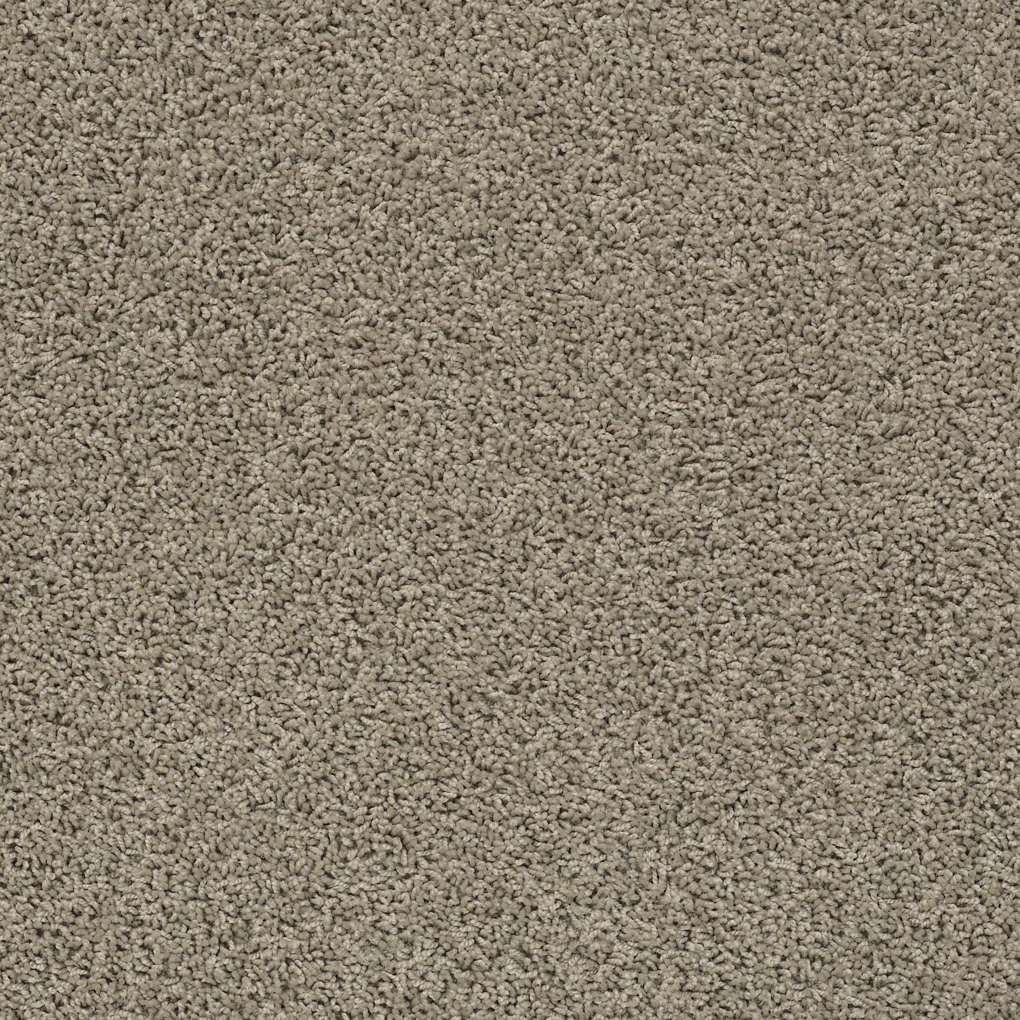 DEL MORRO SERENE MAIN