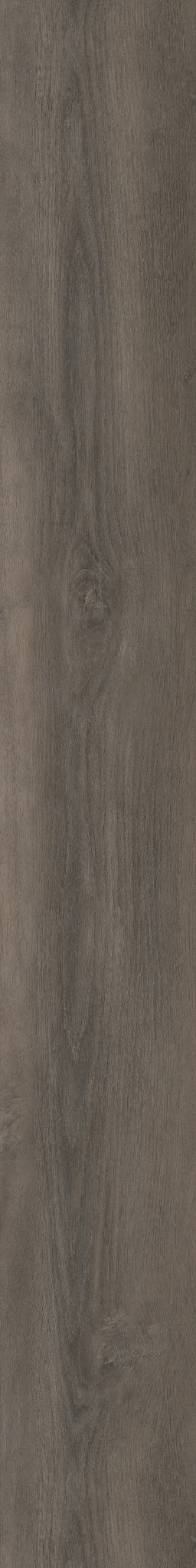 GRANDURE OAK 1TO1