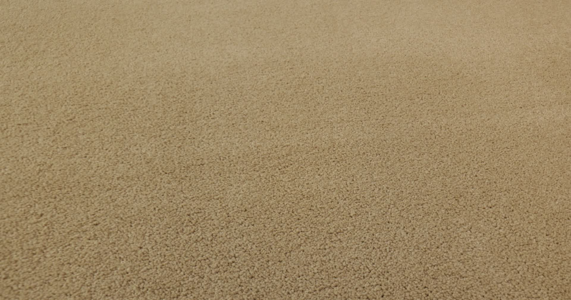 SANDY HOLLOW CLASSIC IV 15' CORNFIELD 360PROD