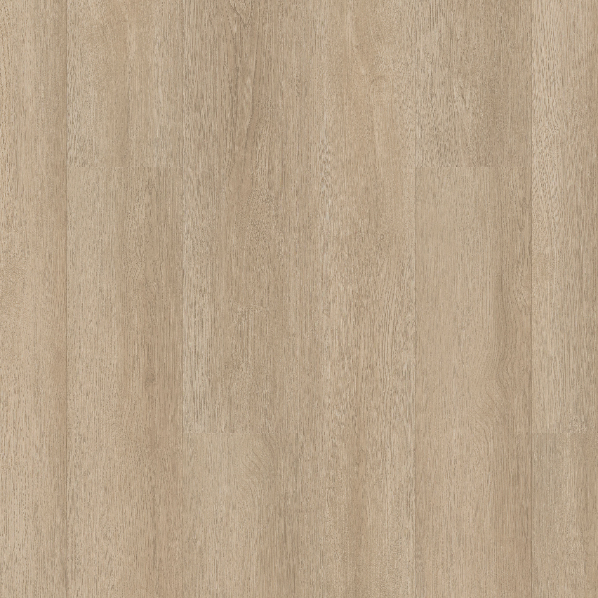 ●ILIMAF Infinite 20 - in Barley Field | Shaw Floors