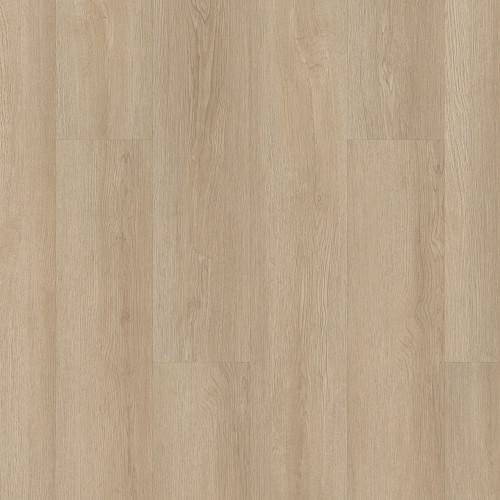 Mesa Oak