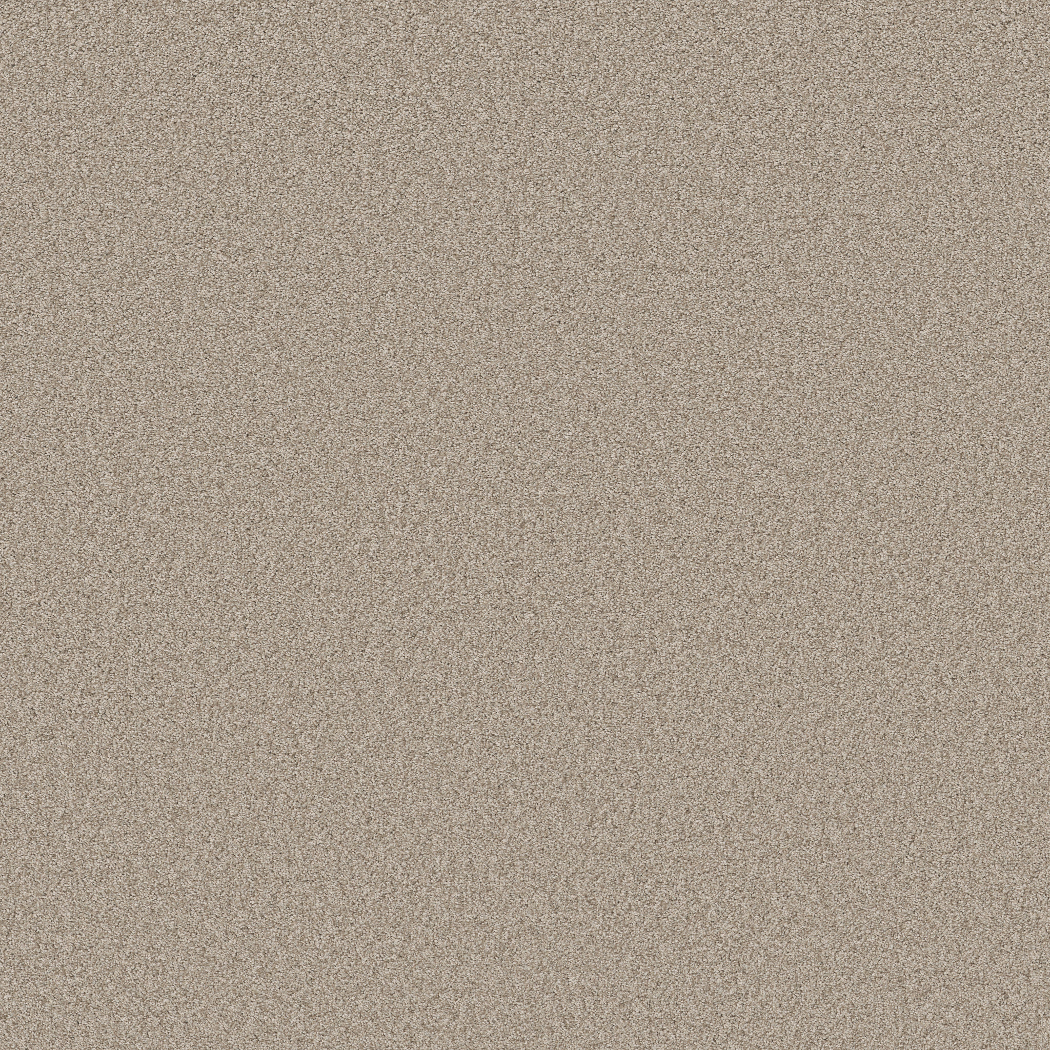 DEL RIO II FOSSIL PATH MAIN