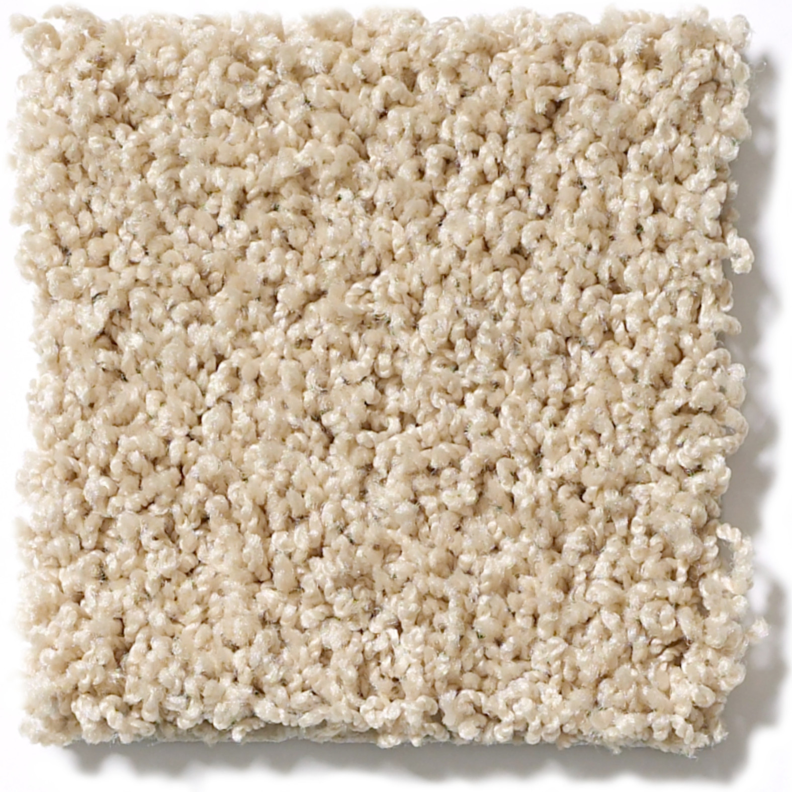 WOODSBORO PUTTY SWATCH