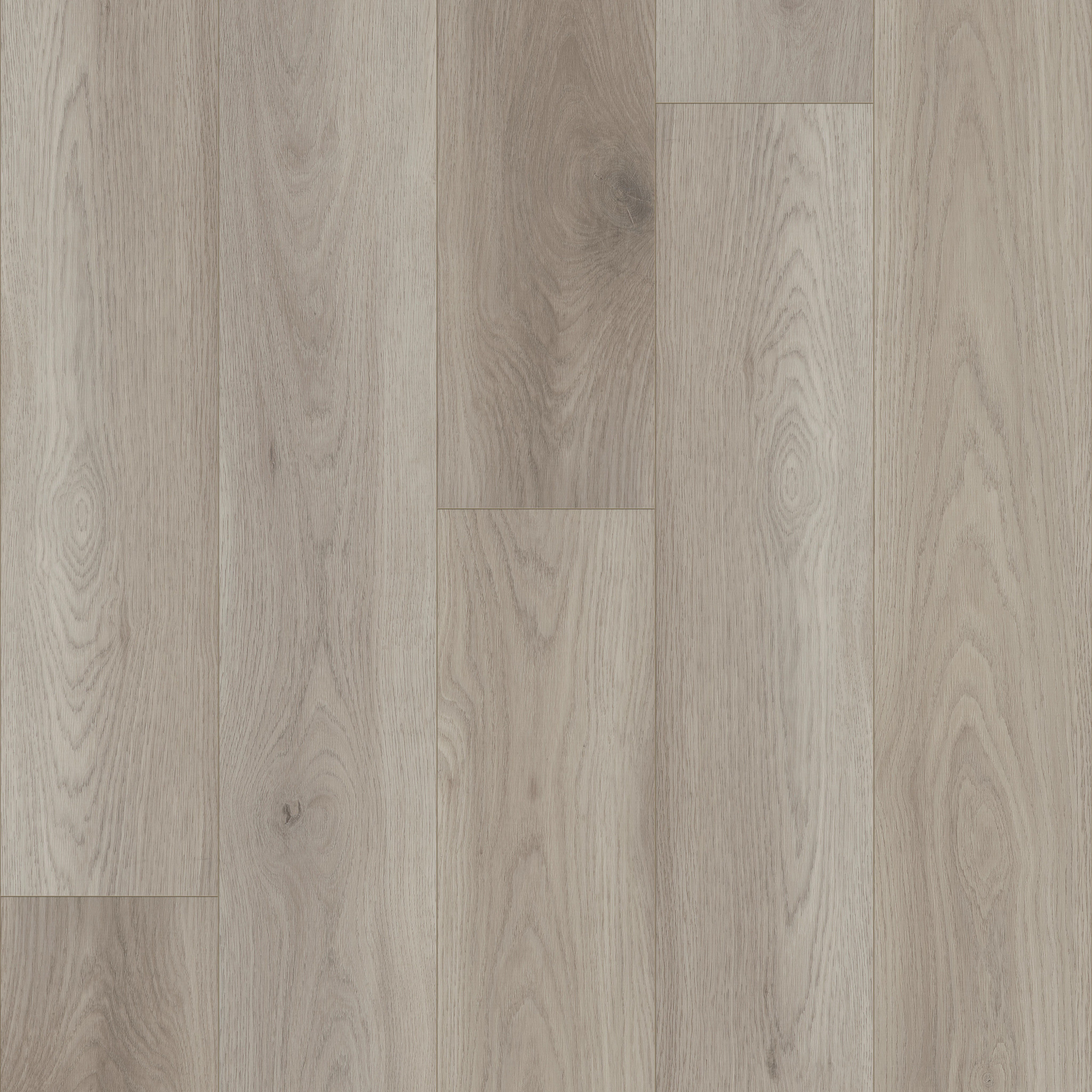 HOMEBOUND GENTLE FOG MAIN