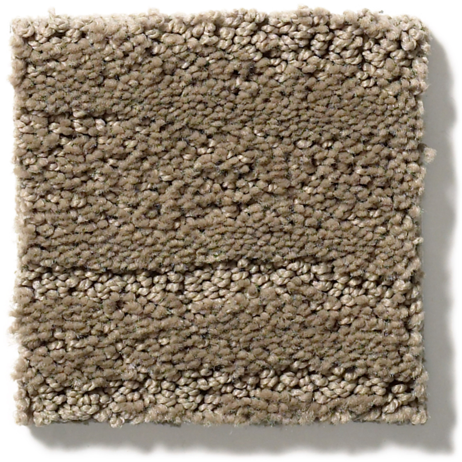 POSE ROCKPORT SWATCH