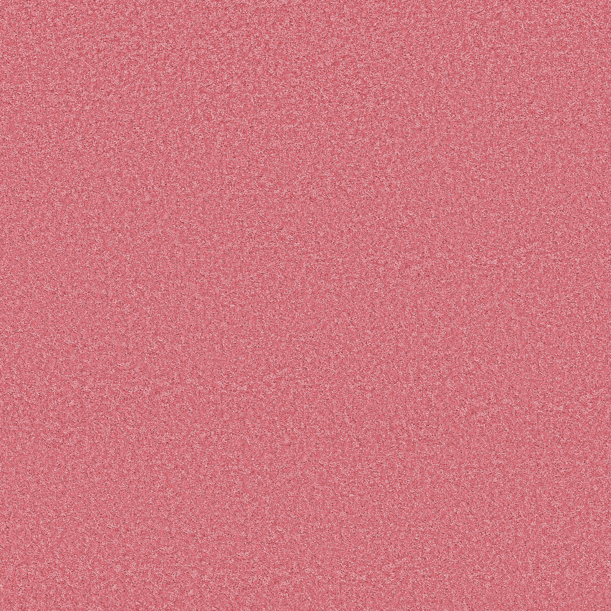 THE BRIGHT SIDE PIECE OF CAKE MAIN